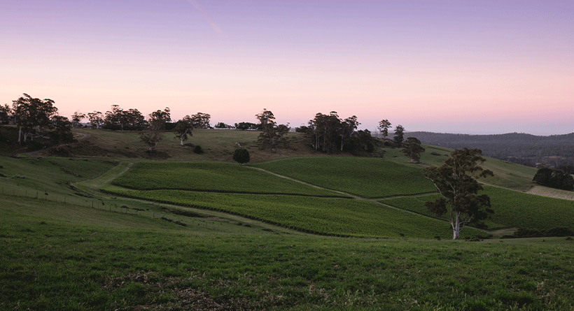 Clover Hill Vineyards